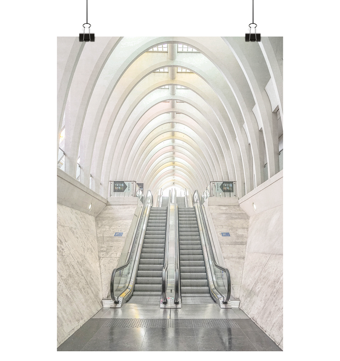 Calatrava Liege 2023/escalier roulant creme - Poster Din A2 (hoch)